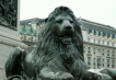     - PLD Travel